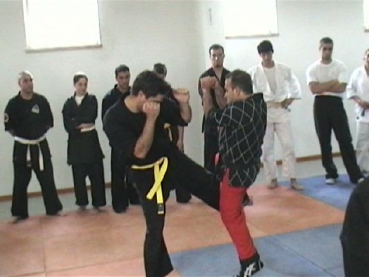 Seminar - Low Kick Defense 